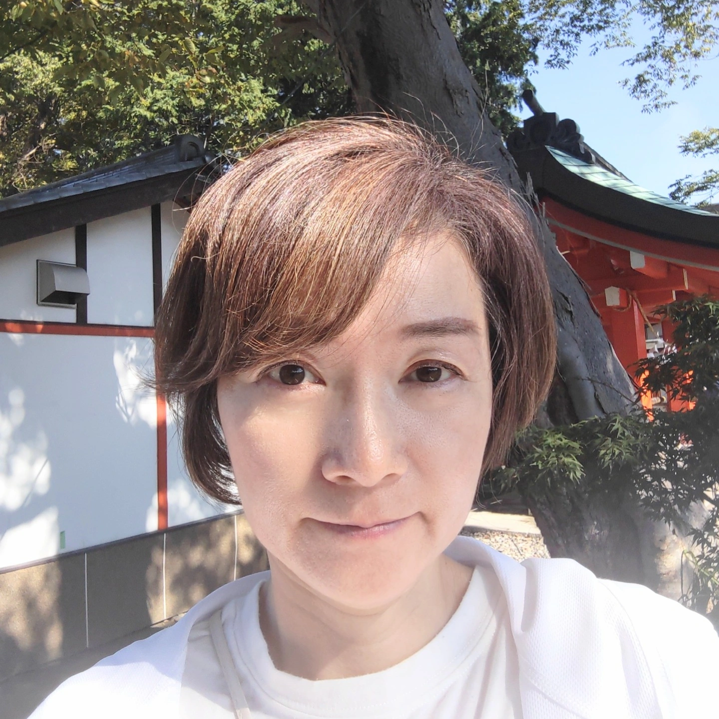 ひまわり