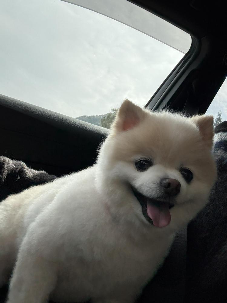 アキ