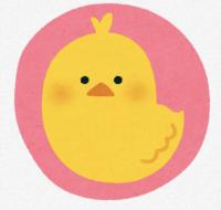 ひよこ