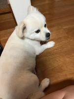 たいてぃ！